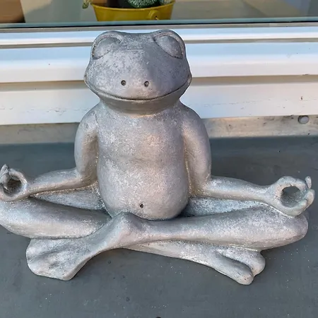 Oase Der Entspannung Am Voelki