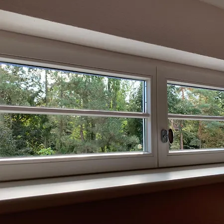 Oase Der Entspannung Am Voelki Leipzig